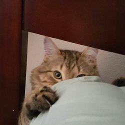 20160329 121022 resized