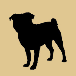 Pugforse