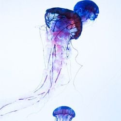 4582fb565233076088297db330f78956