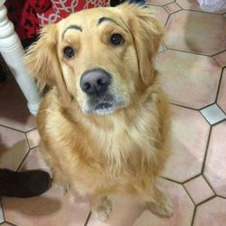 Avatar 1461963783328