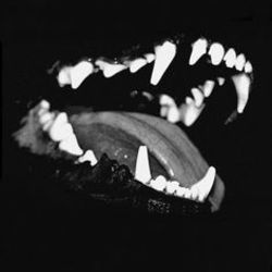 Tumblr o47r9omqs11v2nitoo2 250