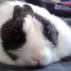 Snapchat 11314465948983447442