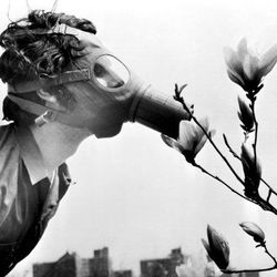 Tumblr mt8rnysvfg1s5602fo6 500