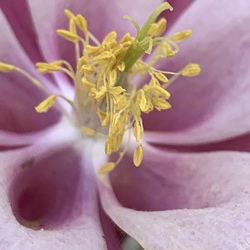 B328afd3 e3e7 4534 ae6d aad6aec84749