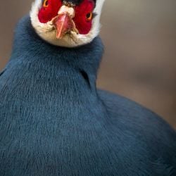 9048e82cd4e630f76ff75b05a2ae6d72