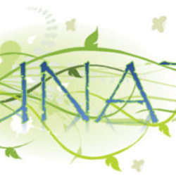 Sounatspi beauty logo