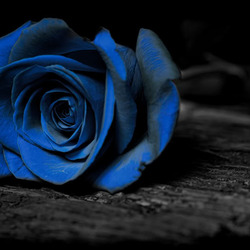 Tumblr nf5fgb9ubq1sqvx58o7 1280