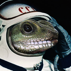 Screen shot 2016 03 12 at 00.42.06