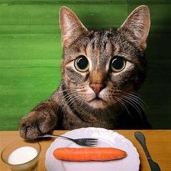 Qq%e6%88%aa%e5%9b%be20160826113247