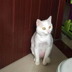 Qq%e6%88%aa%e5%9b%be20160826113910