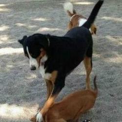 Qq%e6%88%aa%e5%9b%be20160826114305