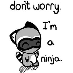 Raccoon ninja 2