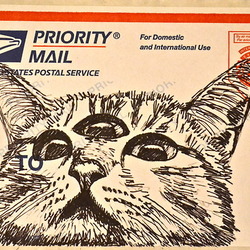 Tumblr mep21ouwdq1r5vb20o1 500