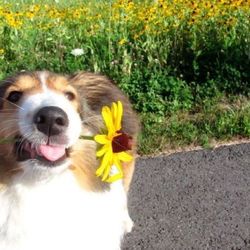 Tumblr n4nxugwuec1qhwlspo1 1280