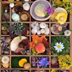 8820df81 9dd8 4240 ba0e e7ecd0d291c8