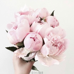 Bd8a913agw1fbb5o1wg0nj20yi0xv798