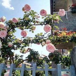 18582068 636294553222802 4128970507014917201 n