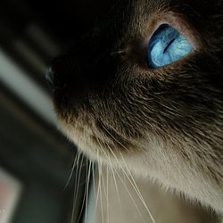 Do you love me   by gf biju d49w59p