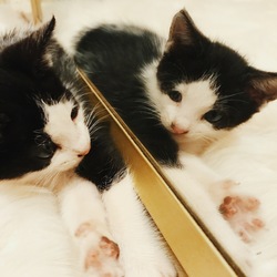 972b0071 f36c 4be1 acda a01b5cf0575d