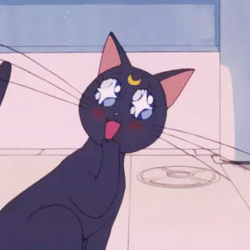 91f62b1a 1a11 4107 b722 cbd67b1f1c17