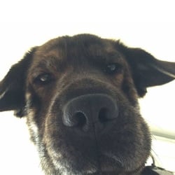 14725461 2152065304841362 2556634069422060577 n