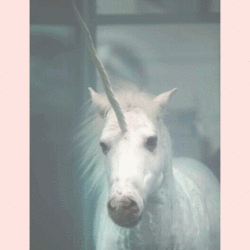 Tumblr nh06uxqcbb1twnexlo1 540