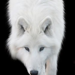 529638d5 e44b 45c4 9274 2db9d189bce4