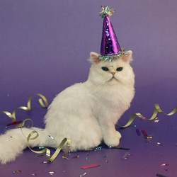 Tumblr lyfcj6axrg1r87zezo1 500