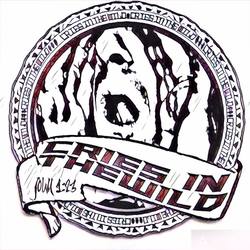 14202581 571404659697893 150870661419536584 n