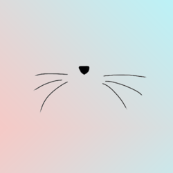 87e777b9ec2a528c8668333fb99506f5