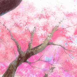 83a75bf3baed3e5fdce2f54284ca3dad