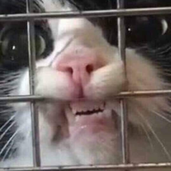 280dee02 15b6 4dde 9a6b e09150eb5e44