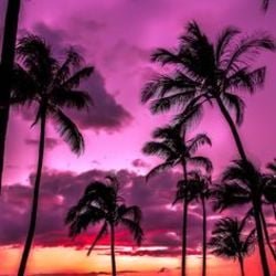 F64a137a7edca0c34180cc6f1c9bcd82