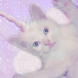 Tumblr static 74pnyddvircw4oogwgswk4g8g 640 v2