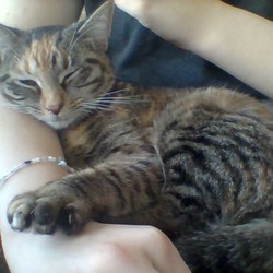 Win 20171025 14 29 48 pro