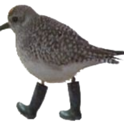 Bird boot