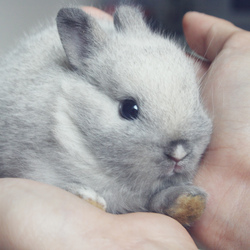 Tumblr lure7csr7v1qzp2x4o1 1280