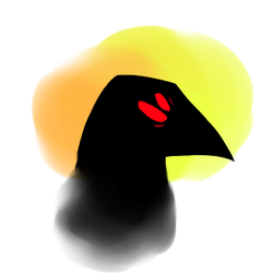 Crow