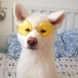 20214416 258503201333238 6947552558437105664 n