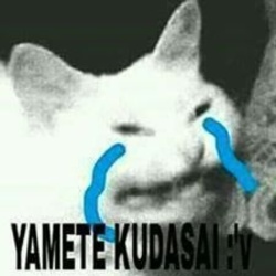 8cecd7181afae936b8e36367b63854ca36f5152d238525254b9d5a5bccf51517