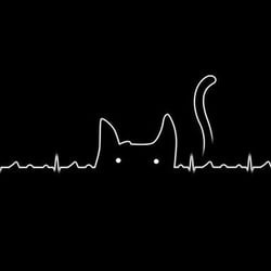 Tumblr nijfw9ztfi1tc9fgoo1 500