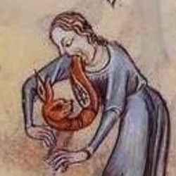 Foxvomit luttrelpsalter crp