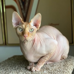 725b36cc a2fc 4f00 9e95 83c3c7b3ca6d