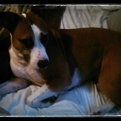 Img 20131222 145739 867 2 2