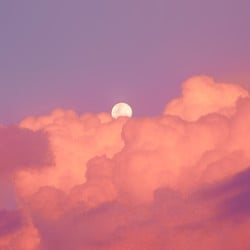 M i n d by gaynines dazehdz