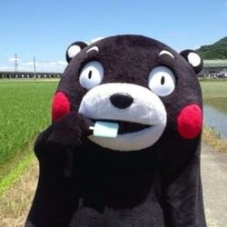 C95452cfdbdbfa9276a5c4cabc80d2b3  japanese cartoon characters explore trip