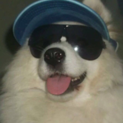 7ccec4b9 f2e0 4402 9e71 28bc9a3a67a8