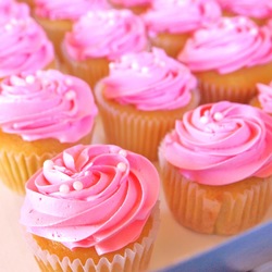 The alchemist pretty pink cupcakes