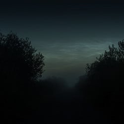 88d5a69890445.560dbef763848