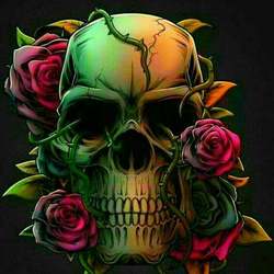 25158352 1167528843380796 4228350904141172527 n